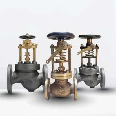 WhatsApp Image 2026-01-10 at 8.57.55 PM (1)